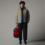 The North Face Hydrenalite-donsjas Met Capuchon Voor Heren Clay Grey male
