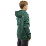 The North Face Drew Peak P/O Casual Sweater Jongens Groen