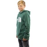 The North Face Drew Peak P/O Casual Sweater Jongens Groen
