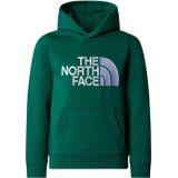 The North Face Drew Peak P/O Casual Sweater Jongens Groen