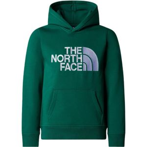 The North Face - Kids Drew Peak - Hoodie - Zwart