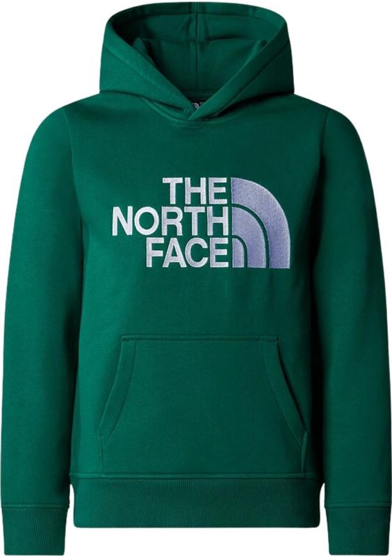 The North Face Drew Peak P/O Casual Sweater Jongens Groen