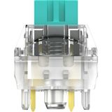 HyperX Tactile Switches Blauw