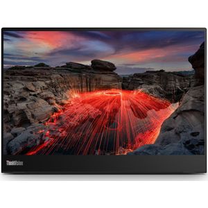 Lenovo ThinkVision M14t computer monitor (14") 2240 x 1400 PixelsK LED Touchscreen Zwart