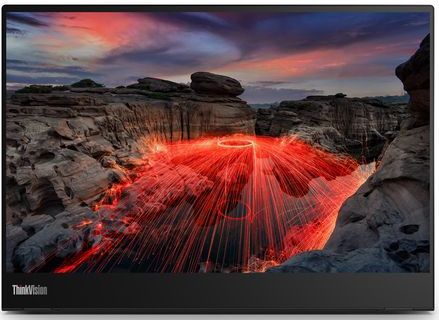 Lenovo ThinkVision M14t computer monitor (14") 2240 x 1400 PixelsK LED Touchscreen Zwart