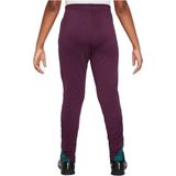 Nike Paris Saint-Germain Strike Trainingsbroek - 2024/2025 - Kids