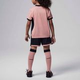 Paris Saint-Germain - 2024/25 Stadium Derde Jordan Voetbaltenue - Roze