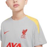 Nike Liverpool FC Strike 3e Shirt Junior8 170