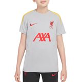 Nike Liverpool FC Strike 3e Shirt Junior8 170