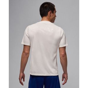 Paris Saint-Germain Academy Pro Fourth Jordan Dri-FIT Pre-Match-Fußballshirt (Herren) - Grau