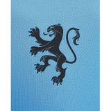 Nike - Nederland Uitshirt - Lichtblauw - 100% Polyester