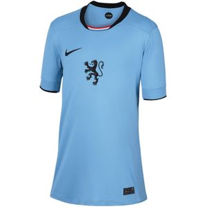 Nike - Nederland Uitshirt - Lichtblauw - 100% Polyester