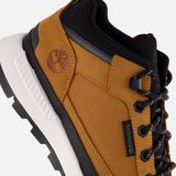 Timberland Field Trekker Low Lace Up Sneakers Heren Bruin