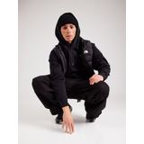 The North Face, Heren, Jassen, Zwart, Maat: M Poliester,