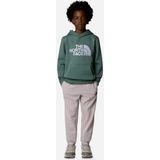 The North Face Drew Peak Hoodie Jongens