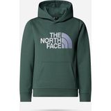 The North Face Drew Peak Hoodie Jongens