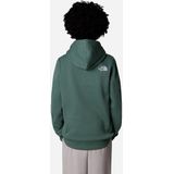 The North Face Drew Peak Hoodie Jongens