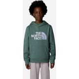 The North Face Drew Peak Hoodie Jongens