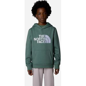 The North Face Drew Peak Hoodie Jongens
