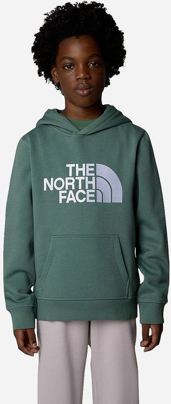 The North Face Drew Peak Hoodie Jongens