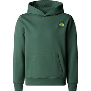 The North Face - Boy's Graphic Relaxed Hoodie - Groen - 100% Katoen