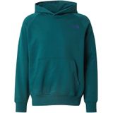 REDBOX - Sweatshirt - Grijs - Capuchon, Lange Mouw, Normale Pasvorm, Sweatstof
