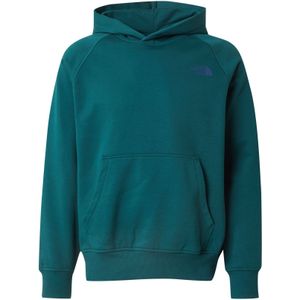 REDBOX - Sweatshirt - Grijs - Capuchon, Lange Mouw, Normale Pasvorm, Sweatstof
