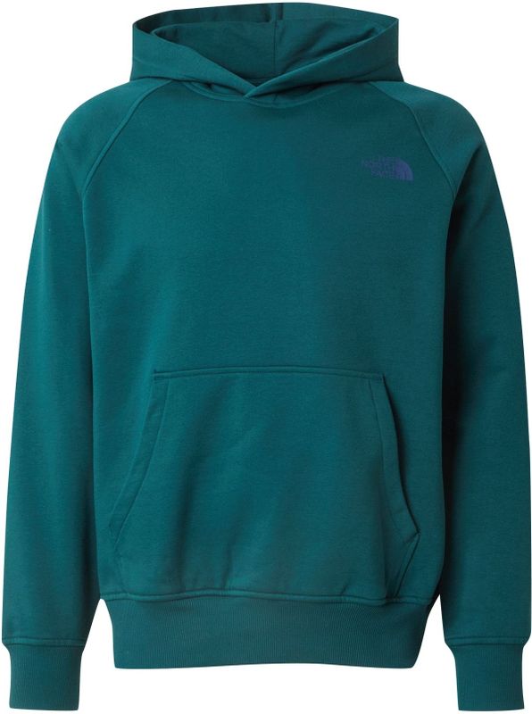 REDBOX - Sweatshirt - Grijs - Capuchon, Lange Mouw, Normale Pasvorm, Sweatstof