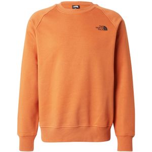 The North Face Heren Raglan Box Nse Crew Trui