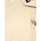 The North Face - Raglan Box Nse Sweatshirt - Gravel/Smokey Brown - Capuchon