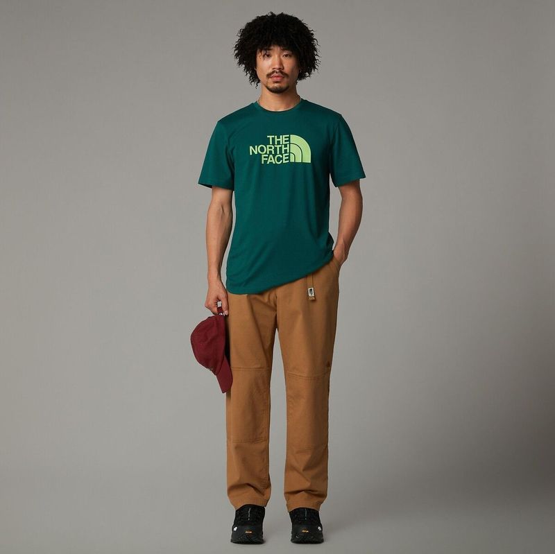 T-shirt Easy Tee THE NORTH FACE. Katoen materiaal. Maten L. Groen kleur