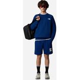 The North Face - NSE Box Regular Shorts - Heren - Korte Broeken