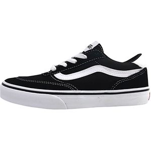 Vans brooklyn ls suede in de kleur zwart.