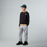 The North Face - Simple Dome Crew - Sweater - Junior