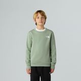 The North Face - Simple Dome Crew - Sweater - Groen - Junior