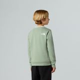 The North Face - Simple Dome Crew - Sweater - Groen - Junior