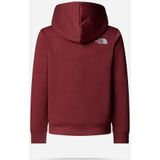 The North Face - Drew Peak - Hoodie - Junior