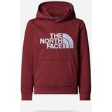 The North Face - Drew Peak - Hoodie - Junior