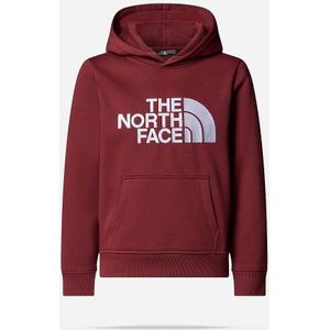 The North Face - Drew Peak - Hoodie - Junior