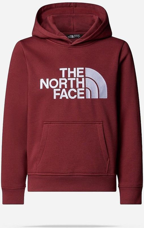 The North Face - Drew Peak - Hoodie - Junior