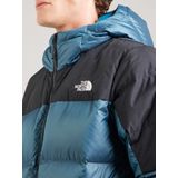 The North Face - Diablo Down 2.0 Hoodie - Donsjas - Heren