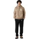 The North Face - Drew Peak Pullover Hoodie - Mushroom Grey/Gravel - Hoodie