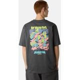 The North Face - U Expedition Celebration Oversized S/S T-shirt - Grijs