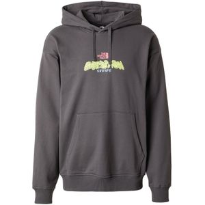 The North Face - Expedition Celebration - Hoodie - Antracietgrijs - Oversized