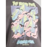 The North Face - Expedition Celebration Oversized Crew Sweatshirt - Grijs