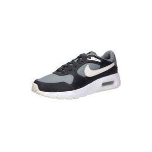 Nike Air Max SC Sneaker Herren grau