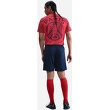 Nike - Dri-FIT Stadium - Korte Broek - PSG 2025/26