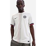 Chelsea FC 2025/26 Stadium Uit Nike Dri-FIT replicavoetbalshirt voor heren - Grijs