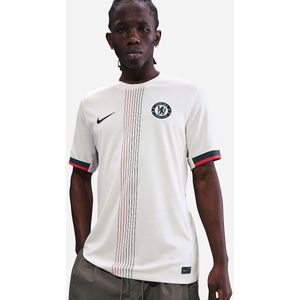 Chelsea FC 2025/26 Stadium Uit Nike Dri-FIT replicavoetbalshirt voor heren - Grijs