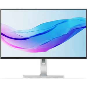 Lenovo L24m-4A Full HD Display 60,5 cm (23,8"")